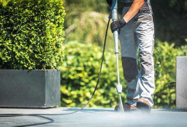 Best Gutter Cleaning  in Moriarty, NM
